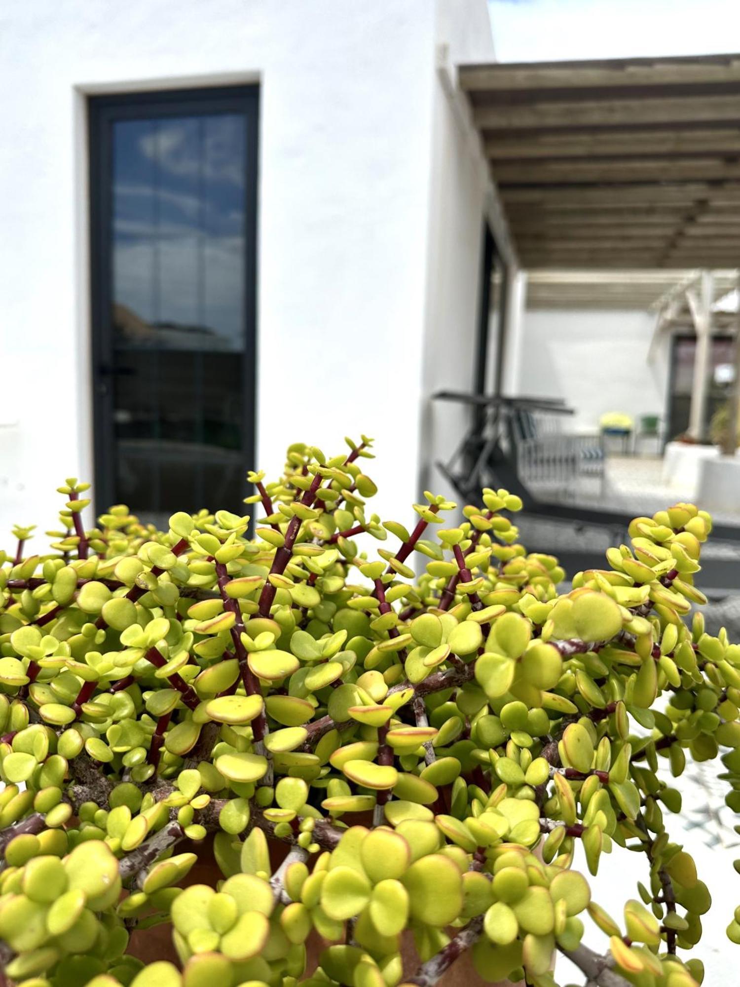 Apartamento Casita Tiare Lajares Exterior foto