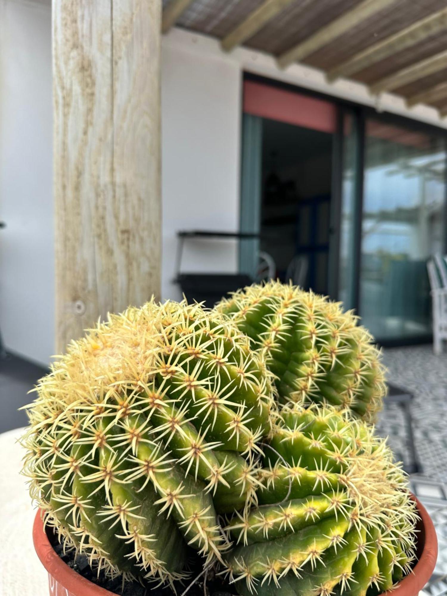 Apartamento Casita Tiare Lajares Exterior foto